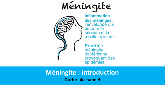 Méningite : Introduction