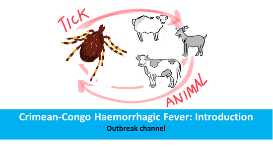 Crimean-Congo Haemorrhagic Fever: Introduction