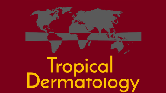 Tropical Dermatology: a syndrome-based approach 