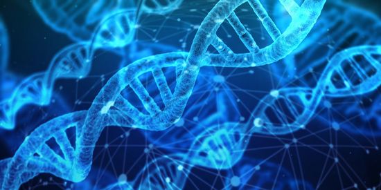 Understanding Your Genome