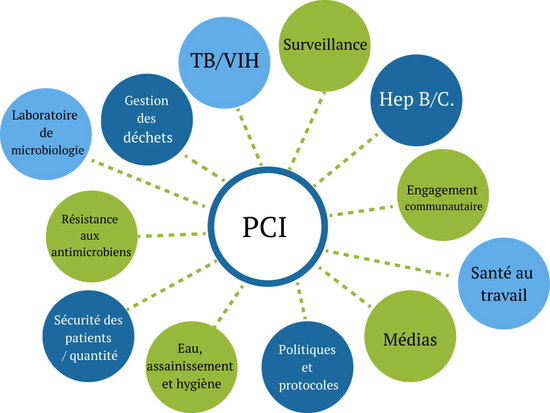 Leadership et gestion de programme en prévention et contrôle des infections (PCI)