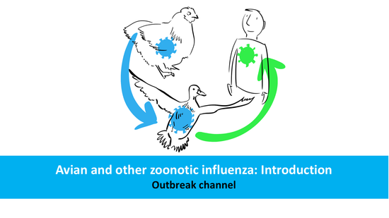 Avian and other zoonotic influenza: Introduction