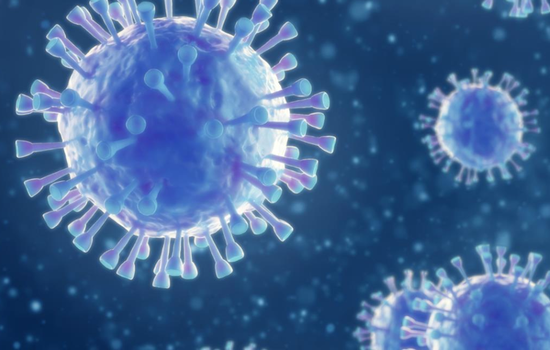 Neu auftretende Atemwegsviren, einschließlich COVID-19: Methoden zur Erkennung, Prävention, Reaktion und Kontrolle