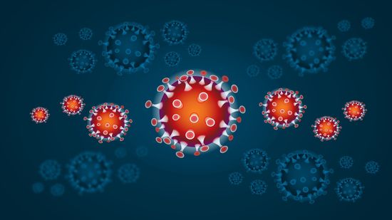 Regelmäßig aktualisierte Informationen zum Coronavirus / COVID-19