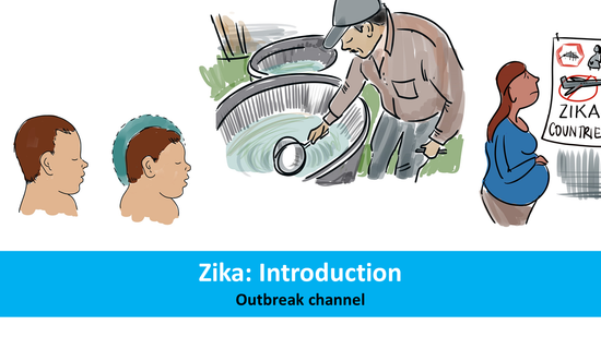 Zika: Introduction 