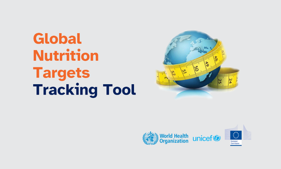 Global Nutrition Targets Tracking Tool