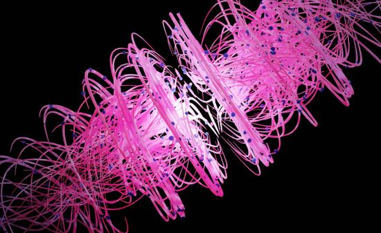 Quantum Computing Forum