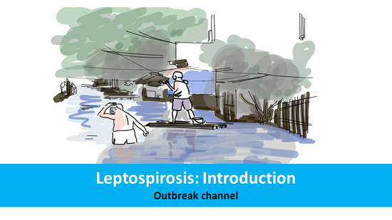 Leptospirosis: Introduction 