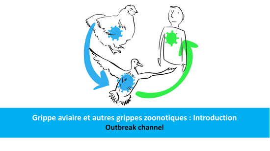 Grippe aviaire et autres grippes zoonotiques : Introduction