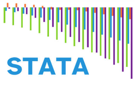 Inequality analysis using Stata: Disaggregated data from surveys