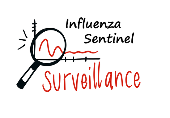 Influenza sentinel surveillance training